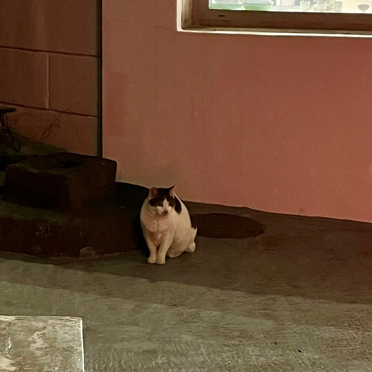 IMG%EF%BC%BF9251.jpg?type=w1600