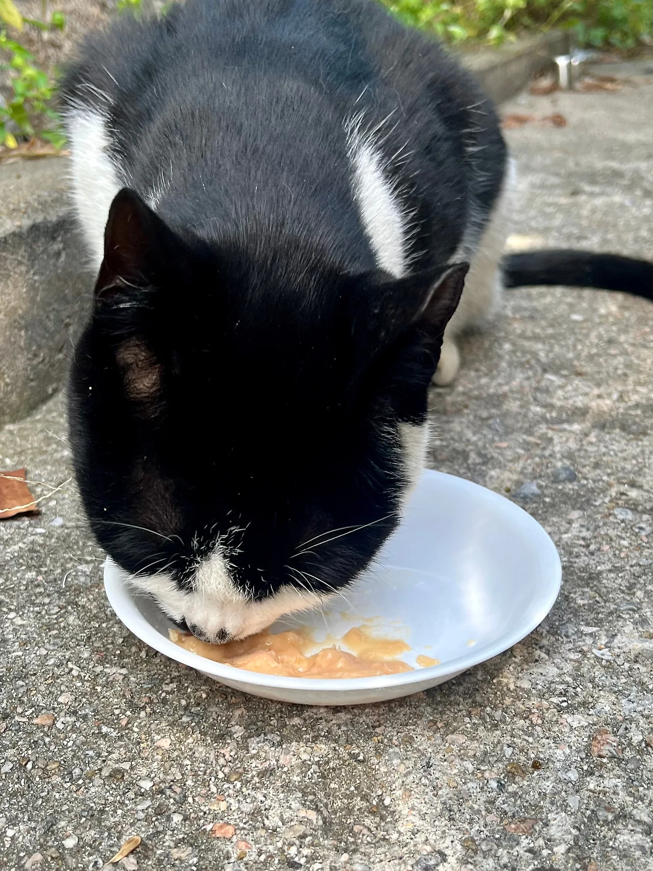 IMG%EF%BC%BF1551.jpg?type=w1600