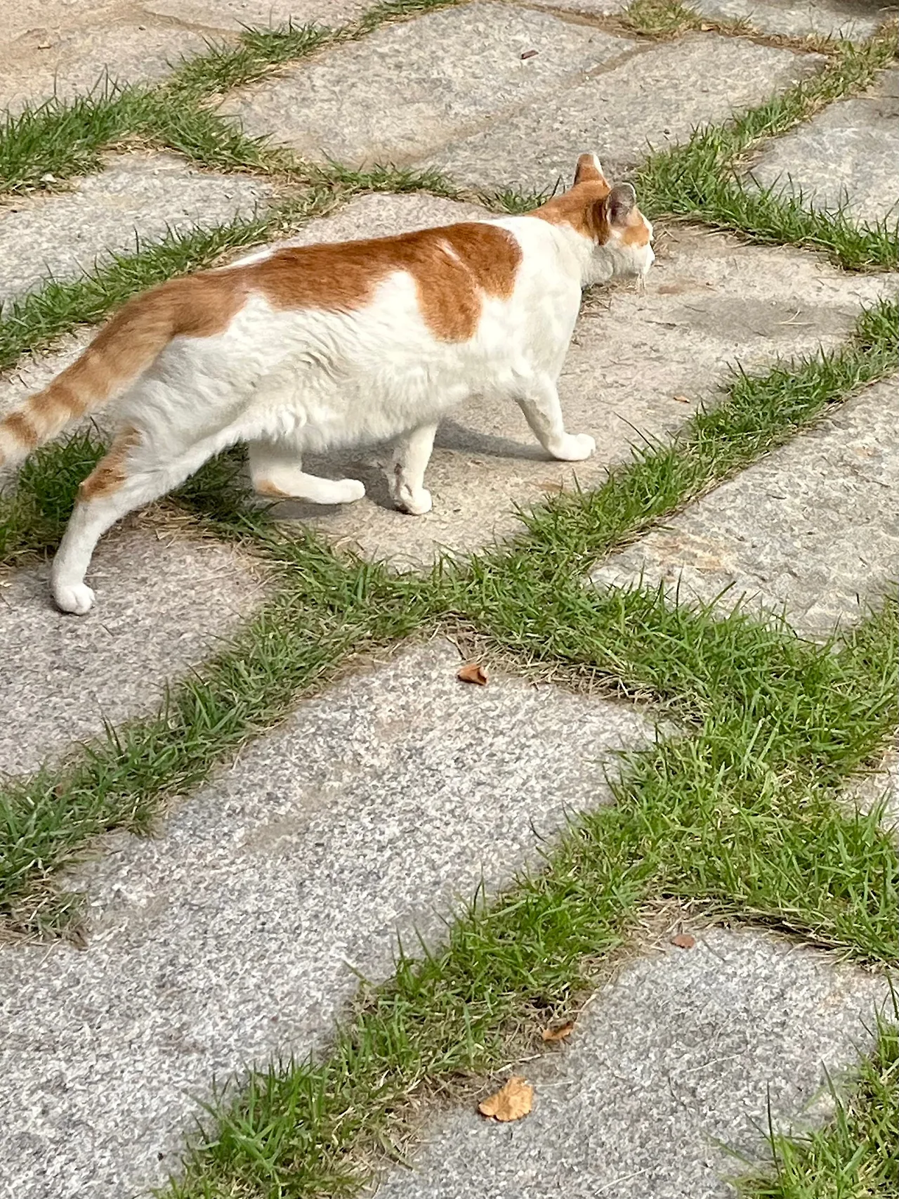 IMG%EF%BC%BF2812.jpg?type=w1600