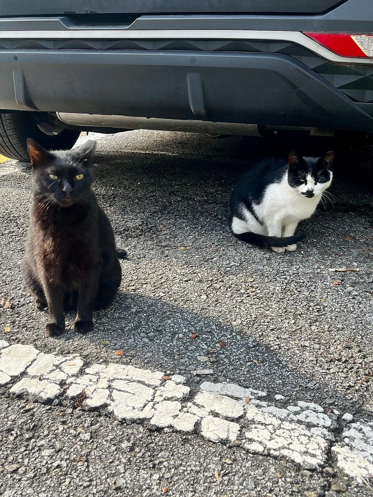 IMG%EF%BC%BF0847.jpg?type=w1600