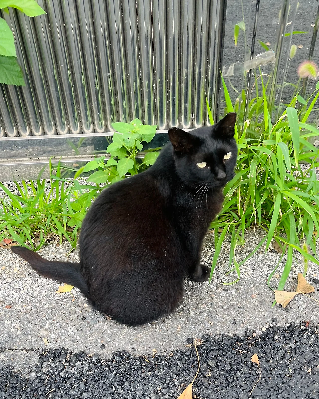 IMG%EF%BC%BF6943.jpg?type=w1600