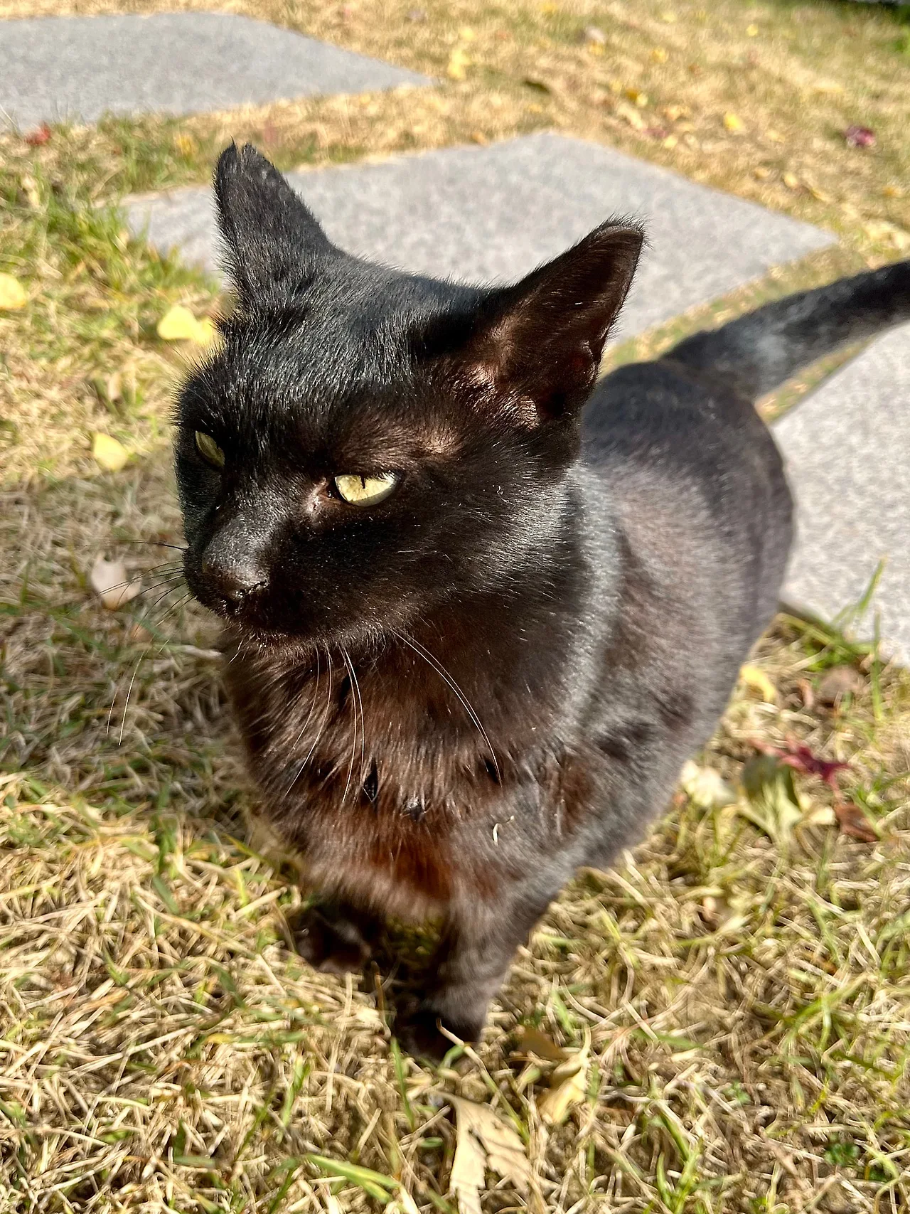 IMG%EF%BC%BF5058.jpg?type=w1600