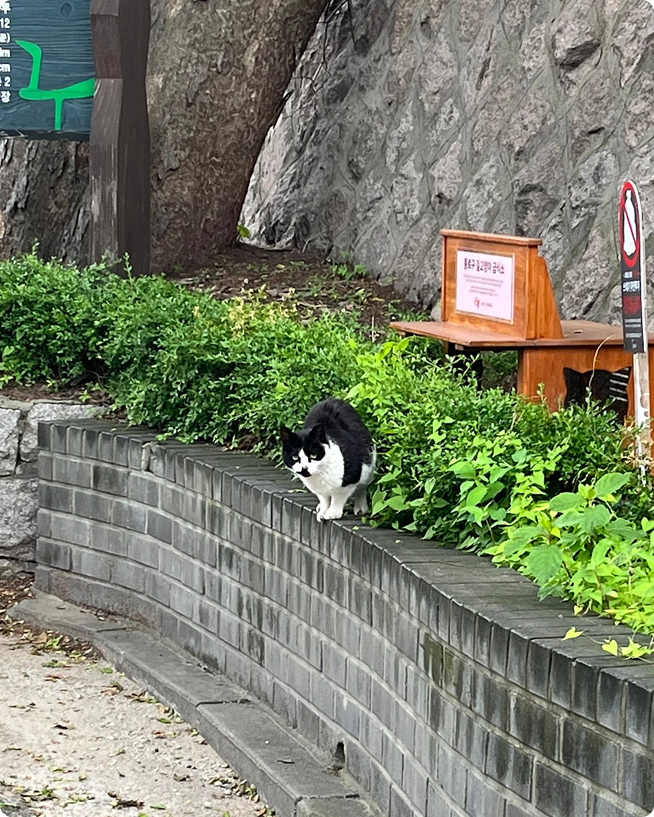 IMG_4362.jpg?type=w1600