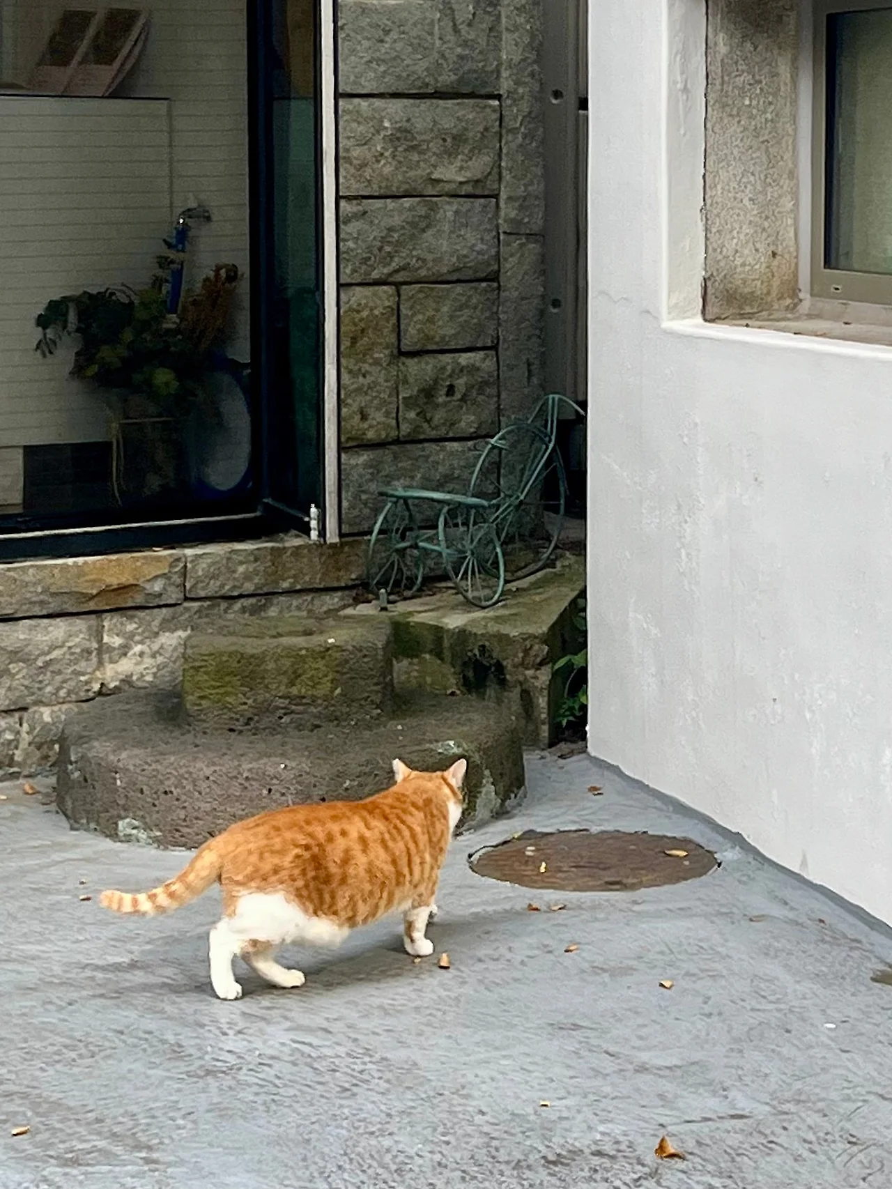 IMG%EF%BC%BF2817.jpg?type=w1600