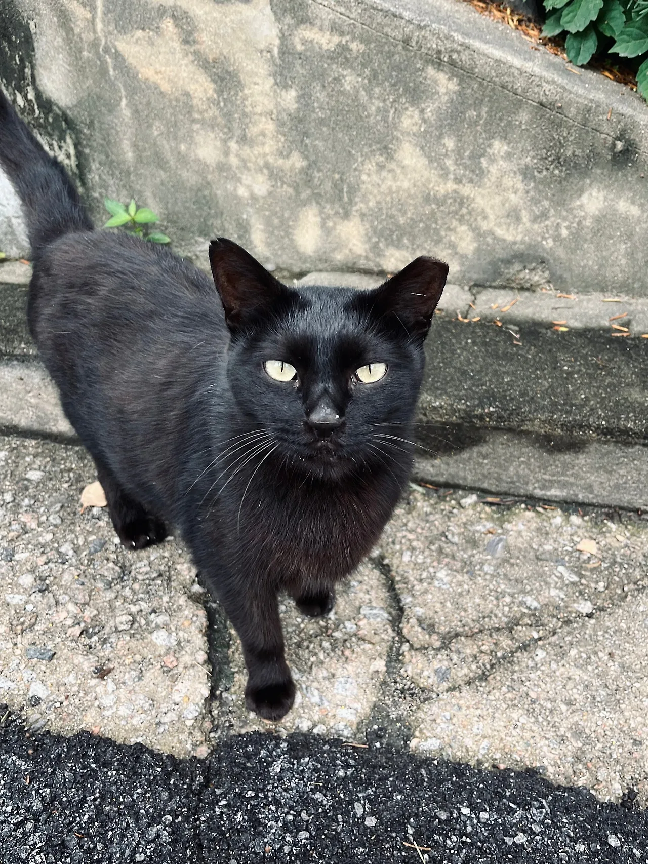 IMG%EF%BC%BF6782.jpg?type=w1600