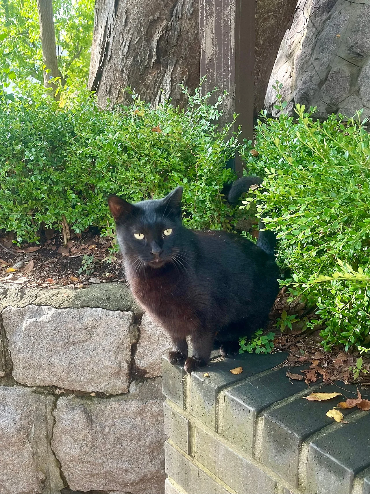 IMG%EF%BC%BF2241.jpg?type=w1600