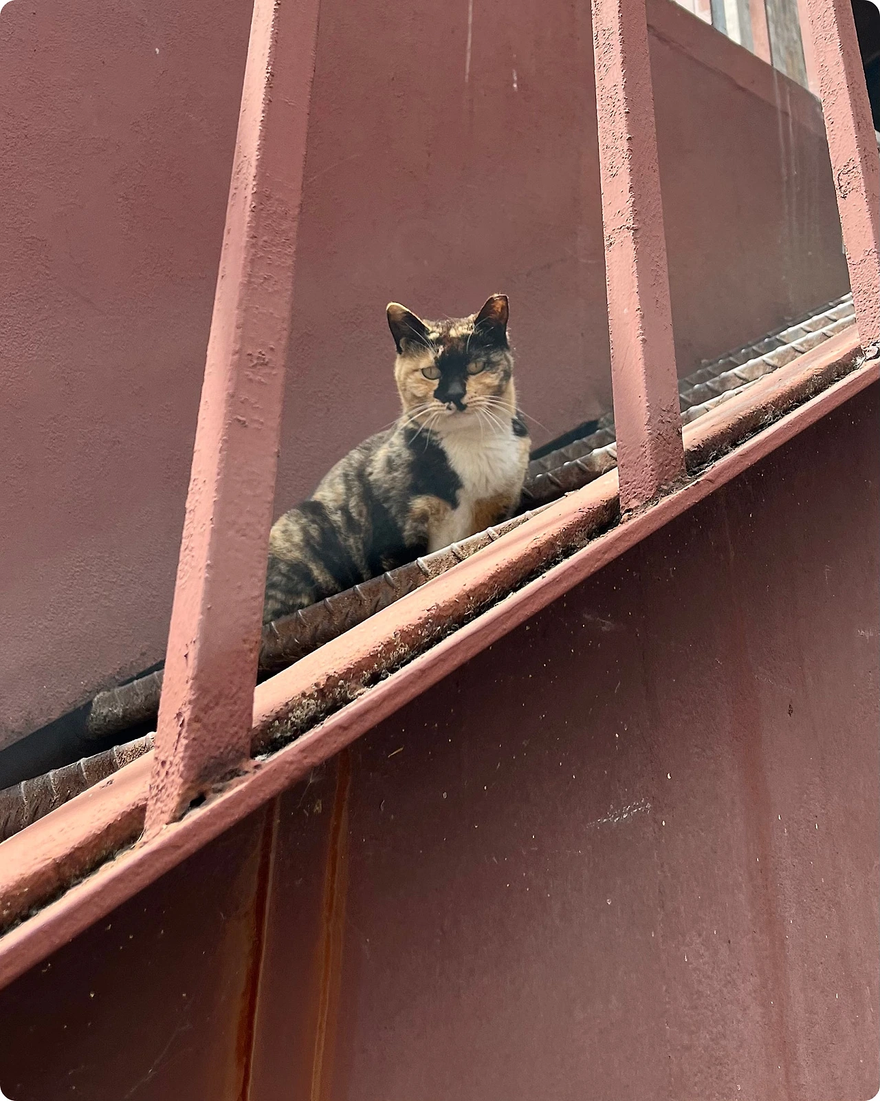 IMG_4347.jpg?type=w1600