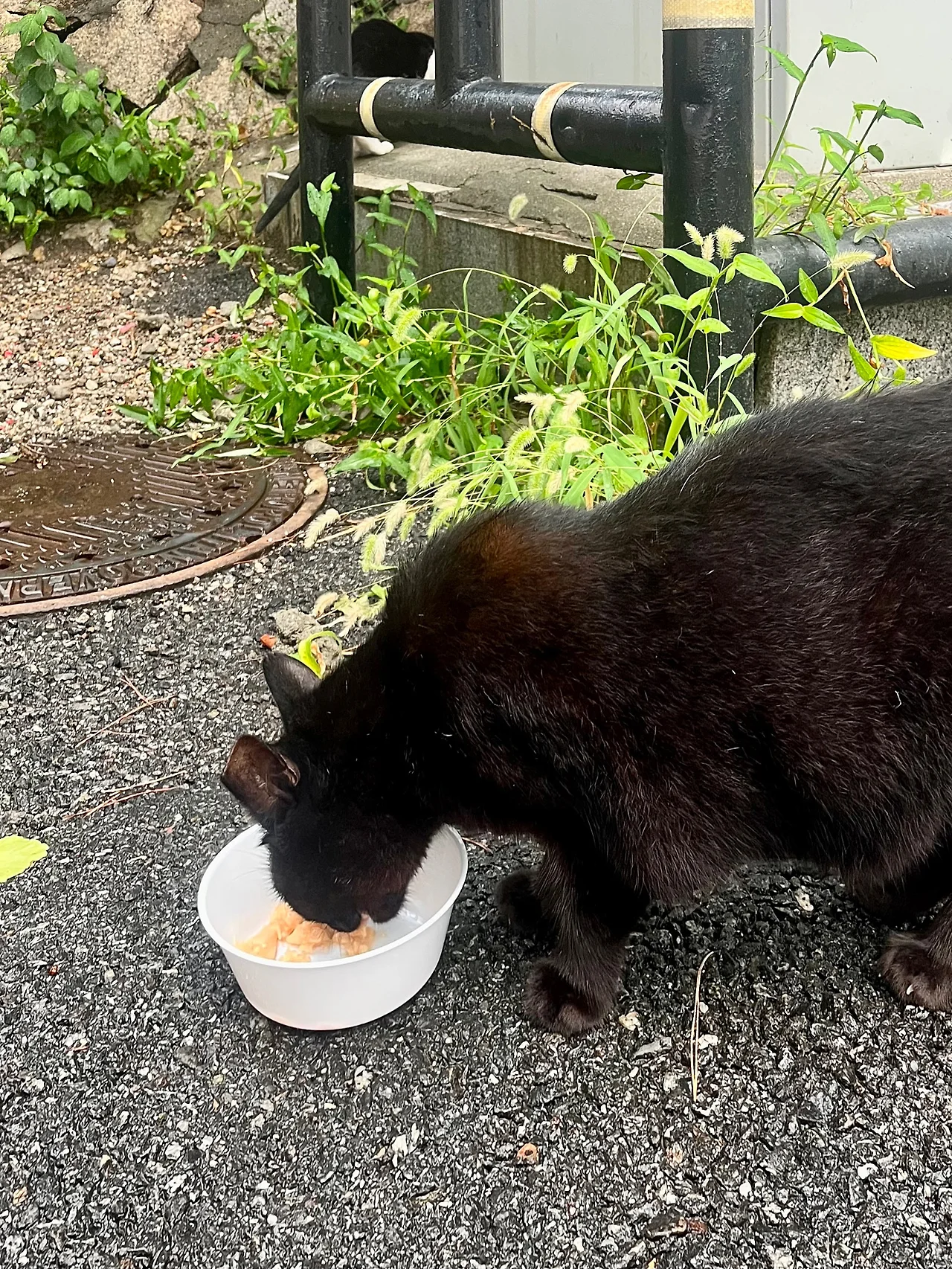 IMG%EF%BC%BF0764.jpg?type=w1600