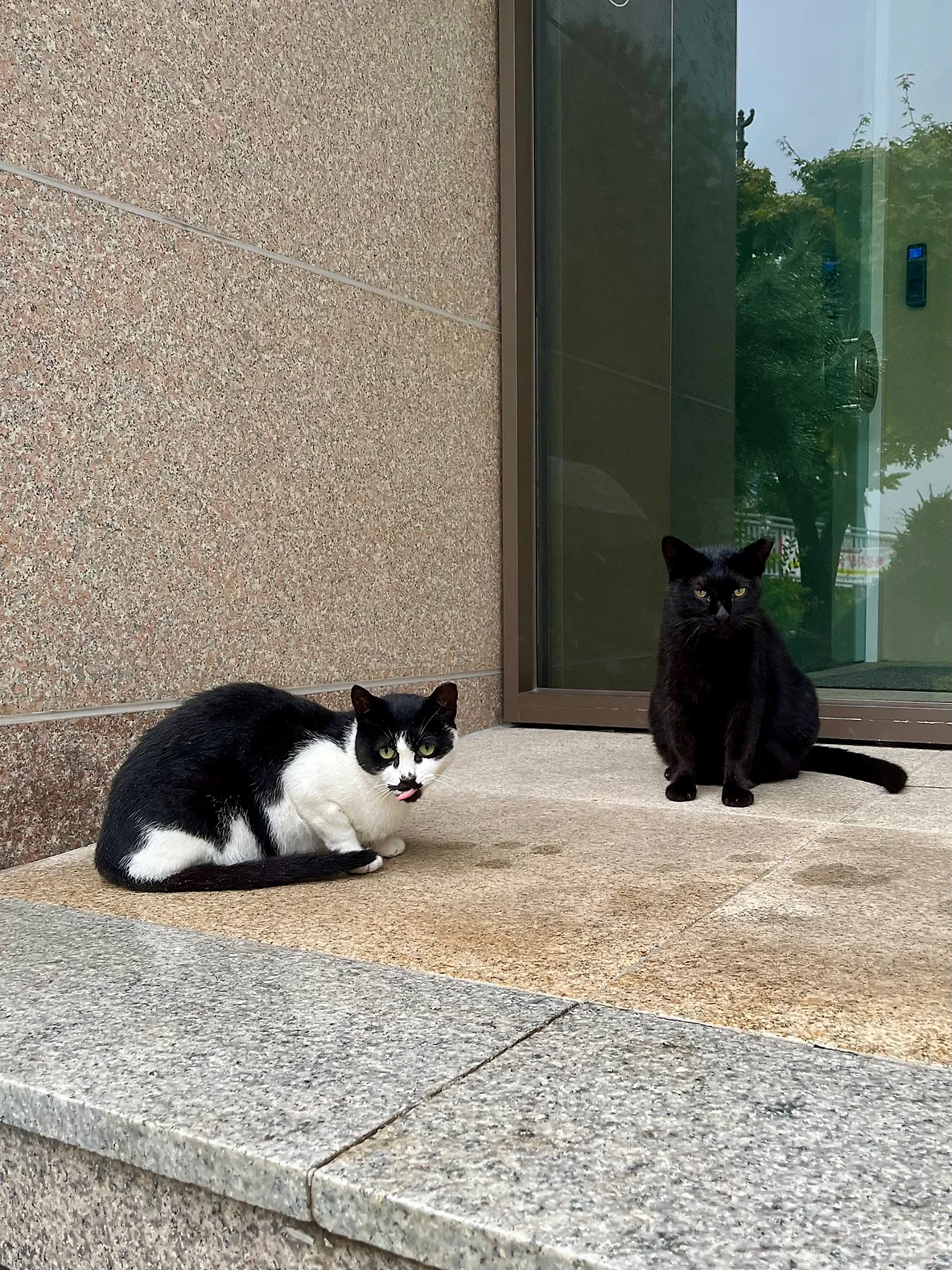 IMG%EF%BC%BF0834.jpg?type=w1600