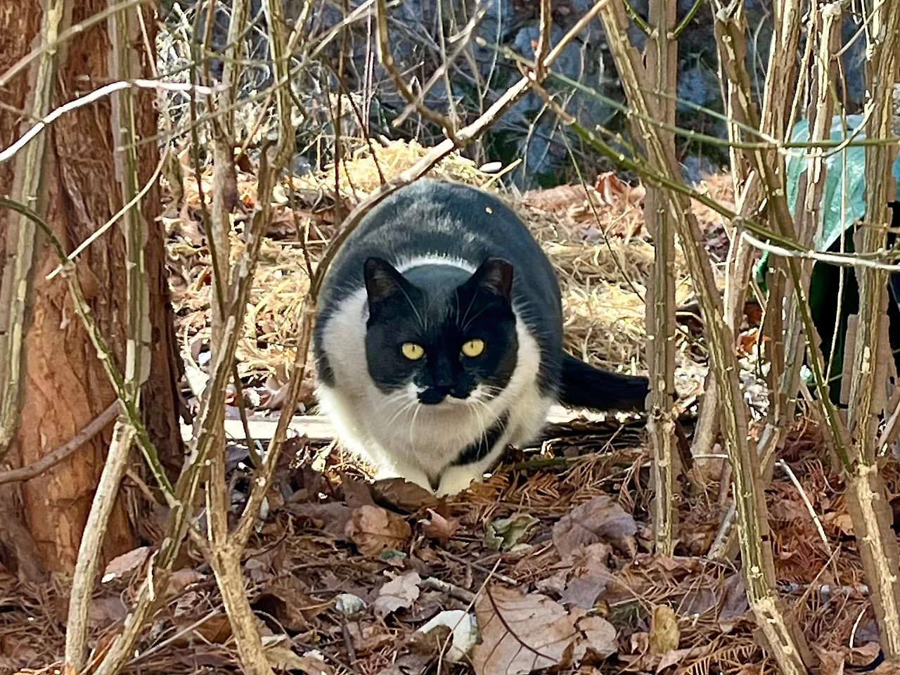 SE-5EDB473D-3596-4CCC-99CB-EE0DD163B294.jpg?type=w1600