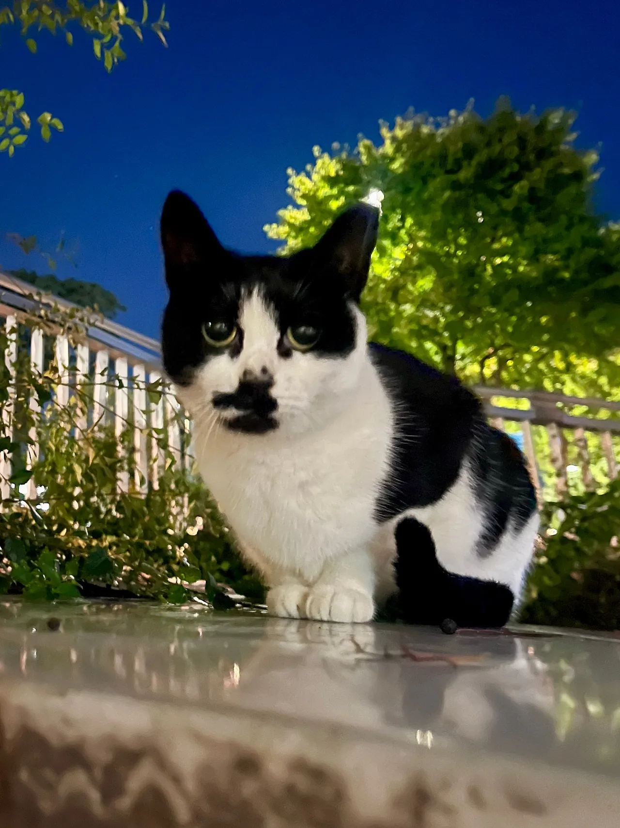 IMG%EF%BC%BF2091.jpg?type=w1600