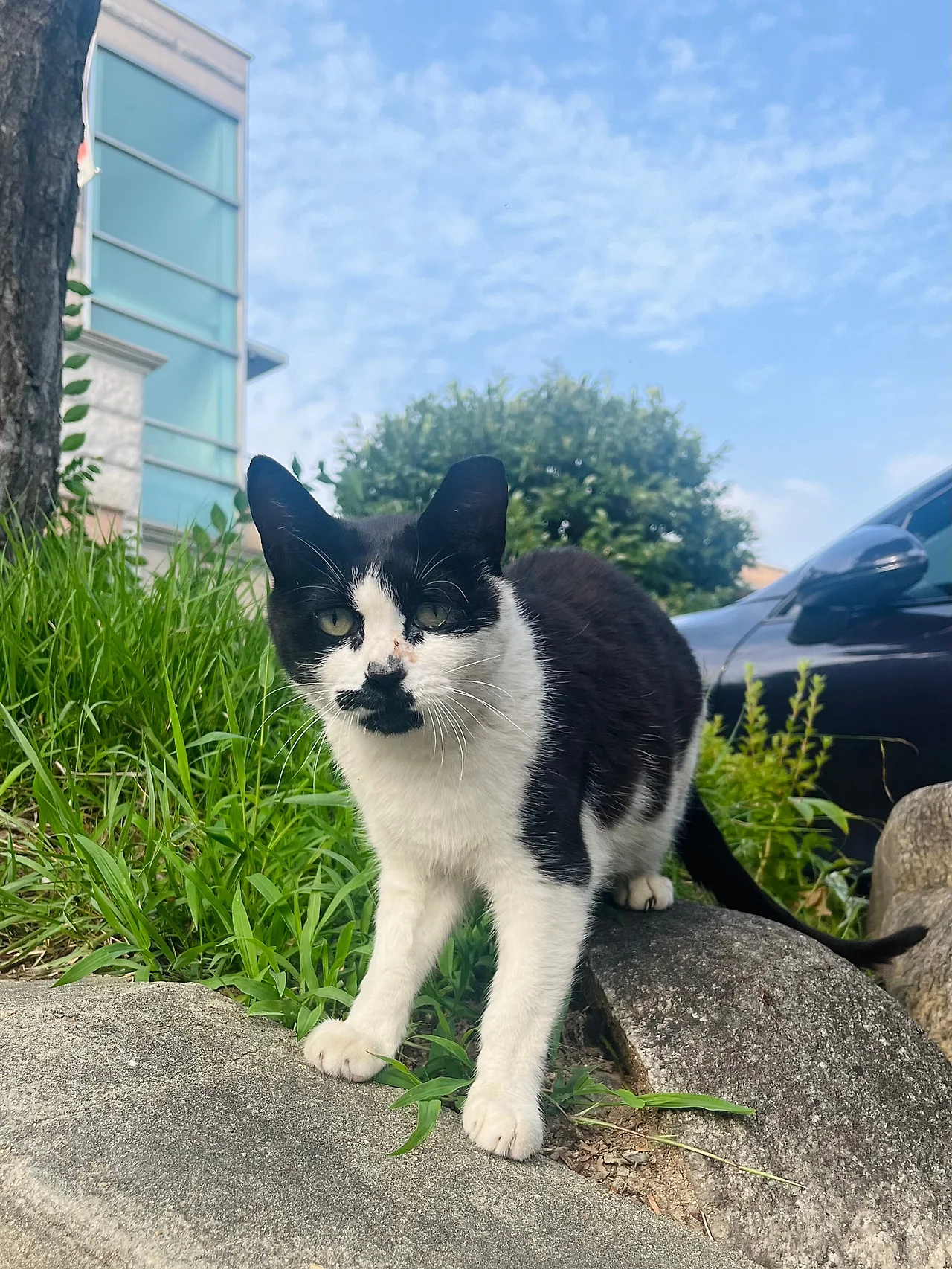 IMG%EF%BC%BF6965.jpg?type=w1600