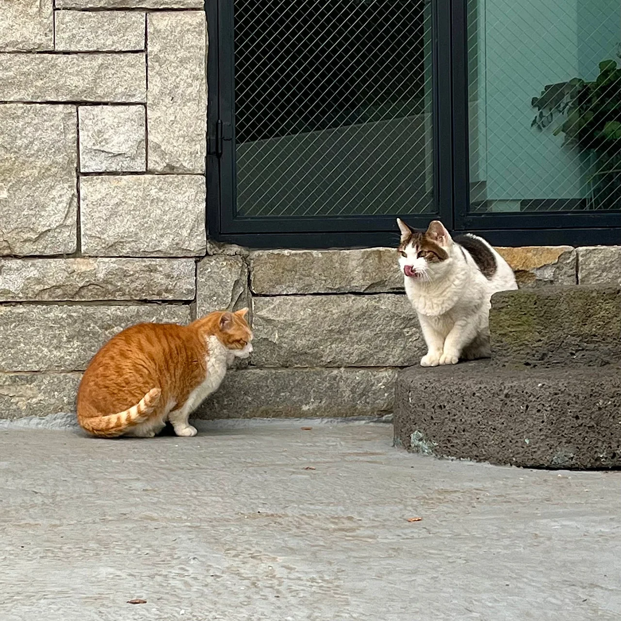 IMG%EF%BC%BF9712.jpg?type=w1600