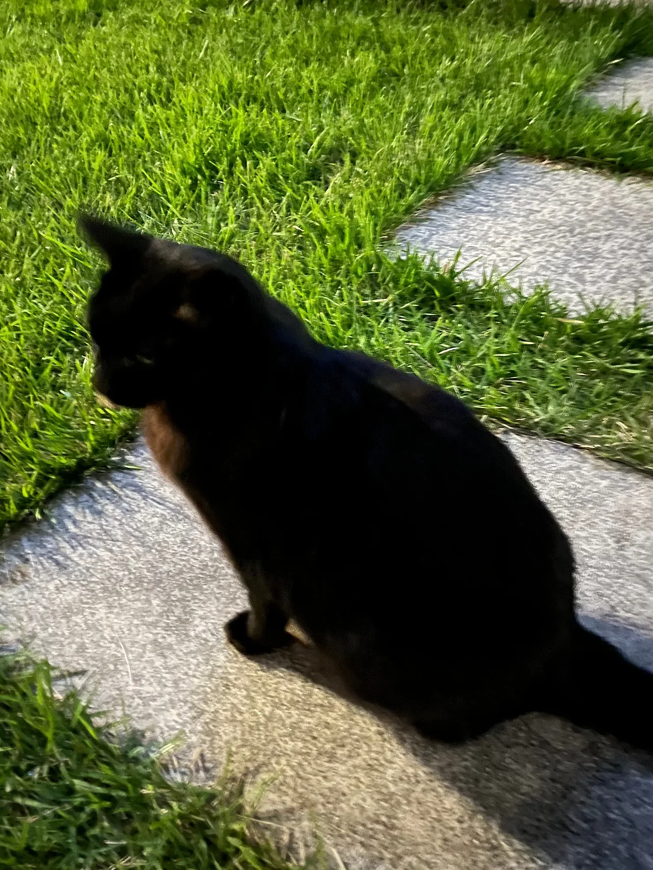 IMG%EF%BC%BF3179.jpg?type=w1600