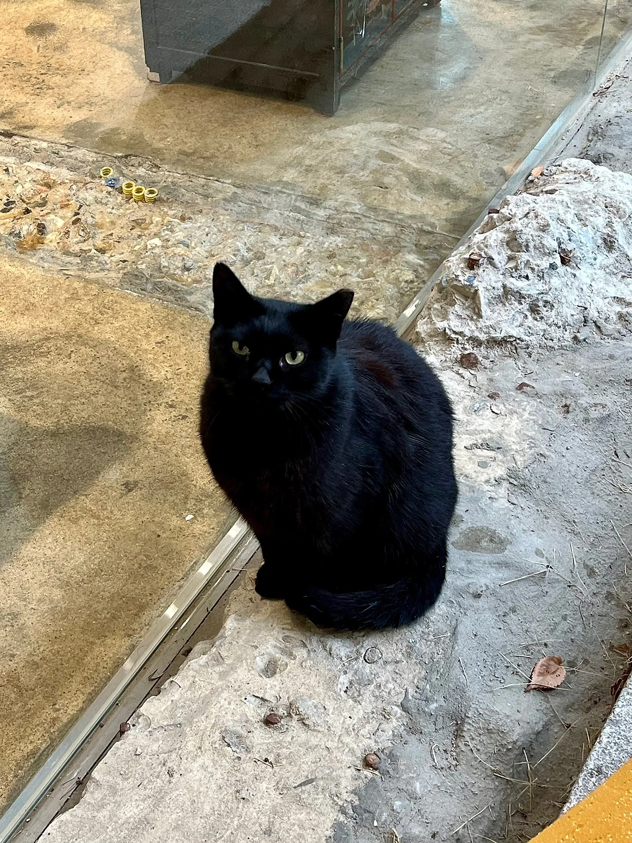 IMG%EF%BC%BF2969.jpg?type=w1600