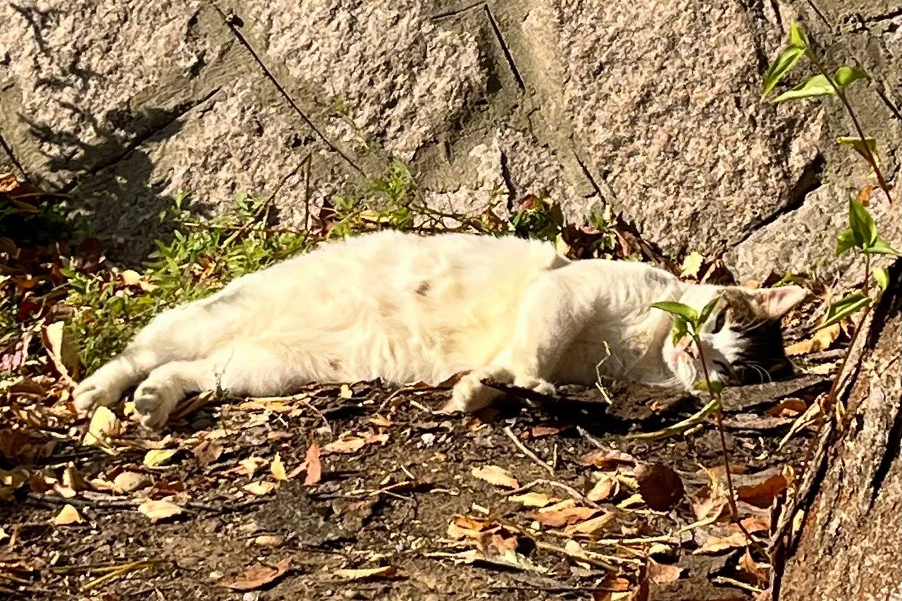 output%EF%BC%BF2669594877.jpg?type=w1600