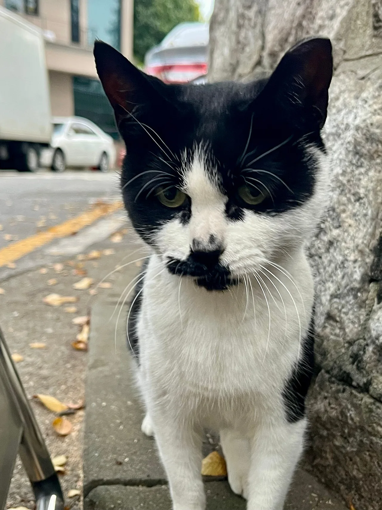 IMG%EF%BC%BF4354.jpg?type=w1600