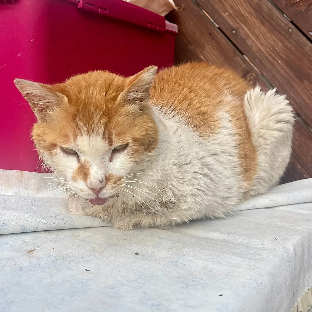 IMG%EF%BC%BF4719.jpg?type=w1600