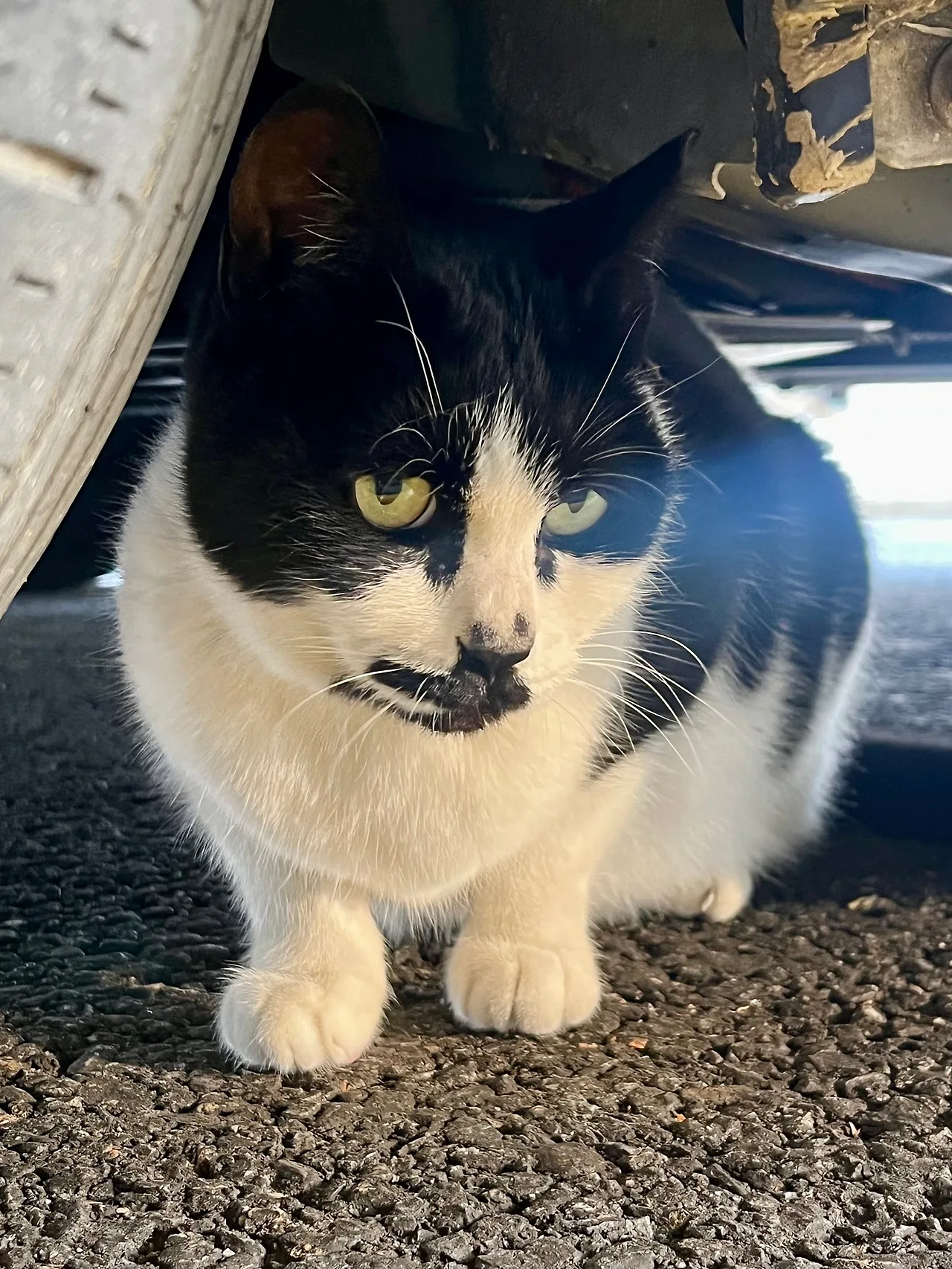 IMG%EF%BC%BF4251.jpg?type=w1600