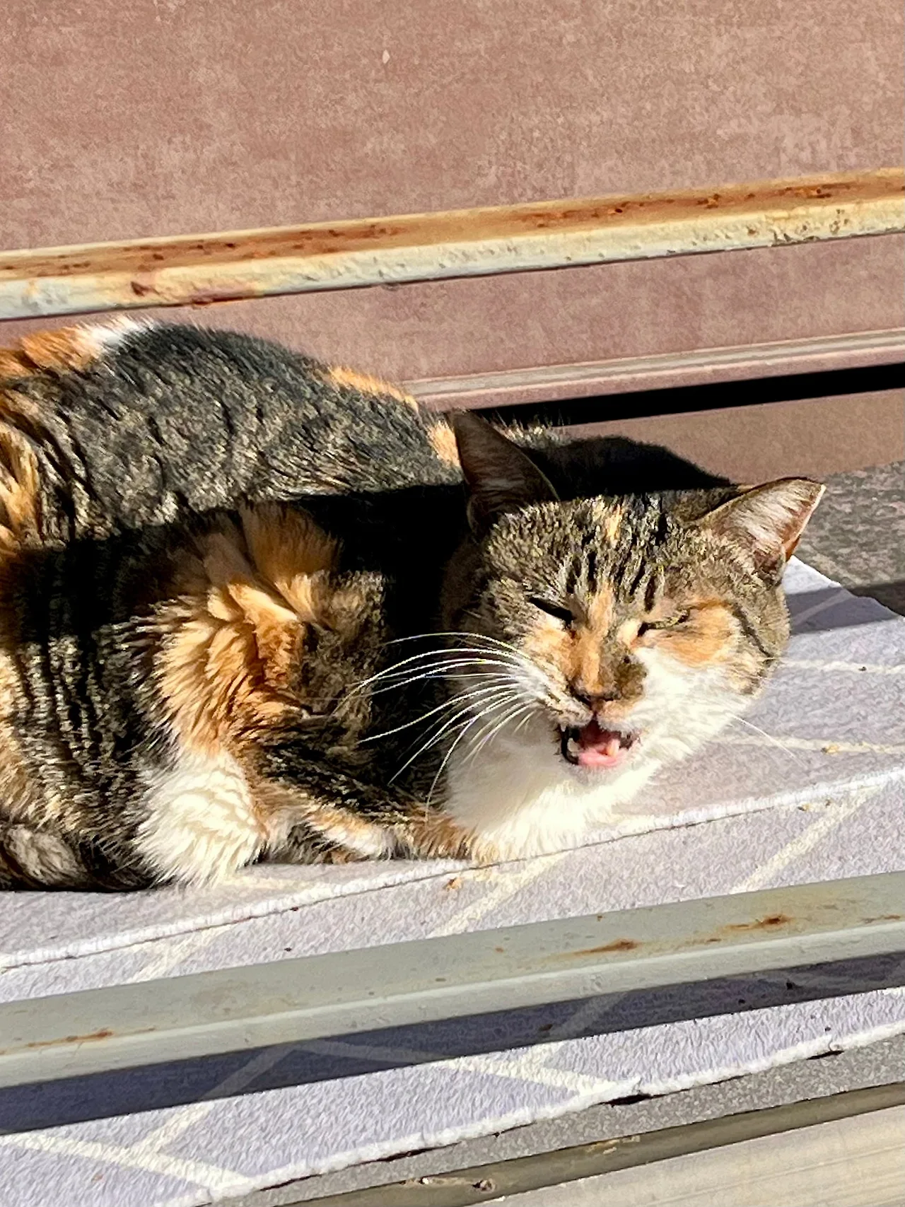 IMG%EF%BC%BF0789.jpg?type=w1600