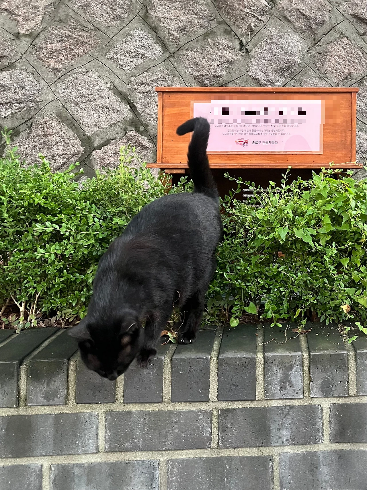 IMG%EF%BC%BF0554.jpg?type=w1600