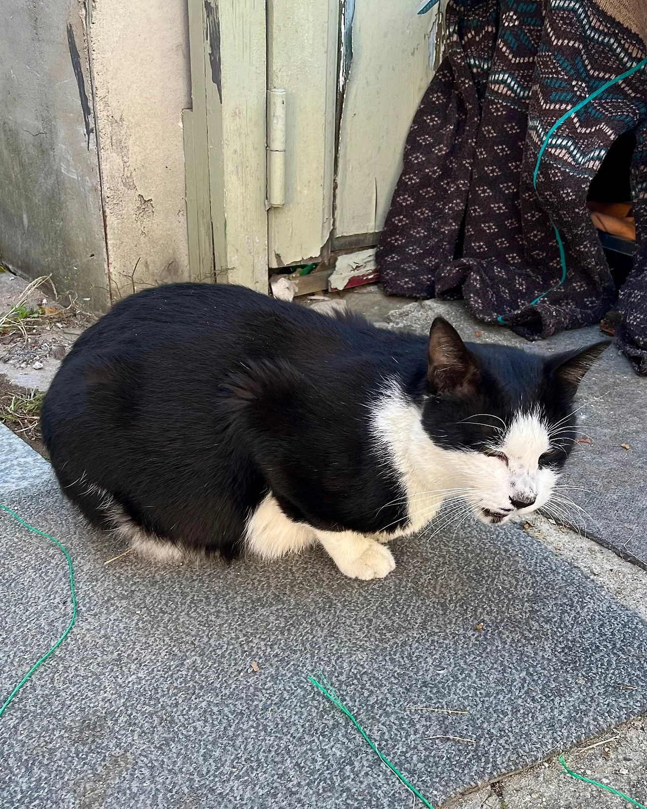 IMG%EF%BC%BF4478.jpg?type=w1600