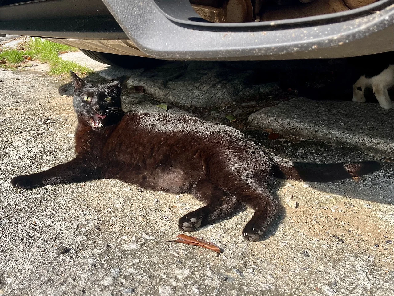 IMG%EF%BC%BF3408.jpg?type=w1600