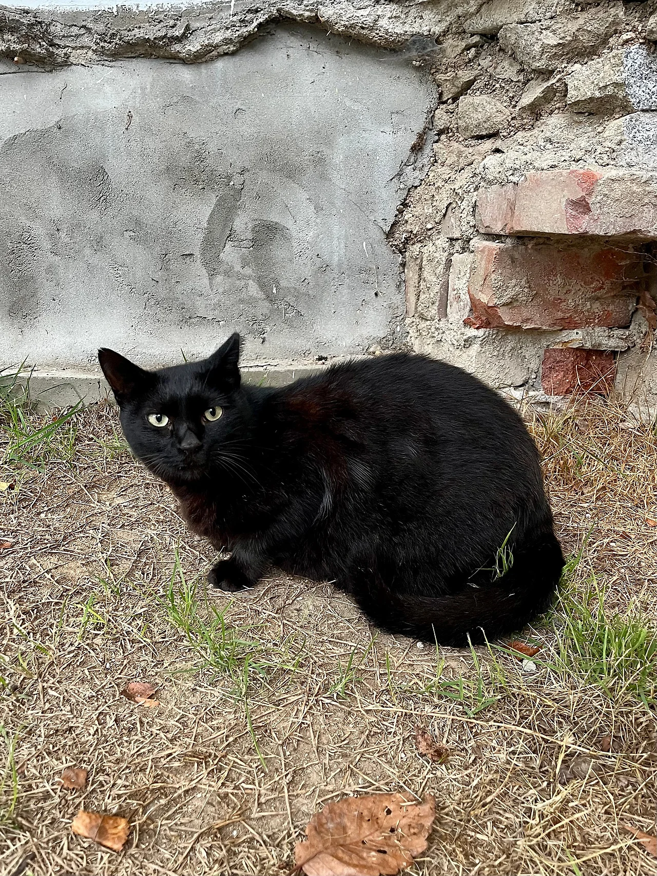 IMG%EF%BC%BF2981.jpg?type=w1600