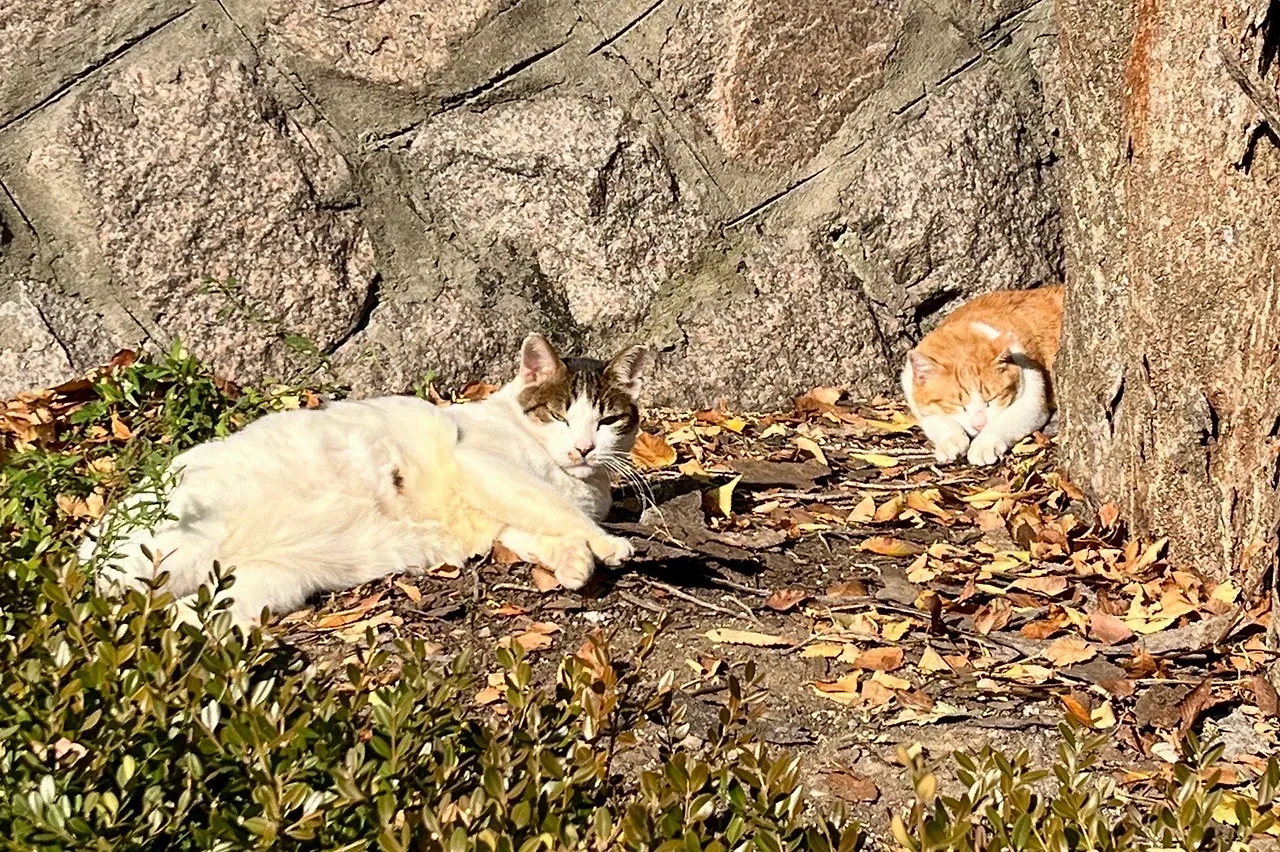 output%EF%BC%BF2013653538.jpg?type=w1600