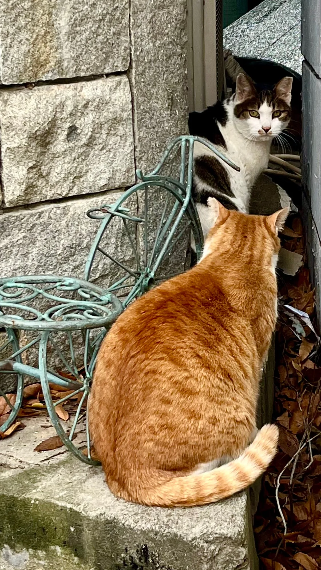 IMG%EF%BC%BF9716.jpg?type=w1600