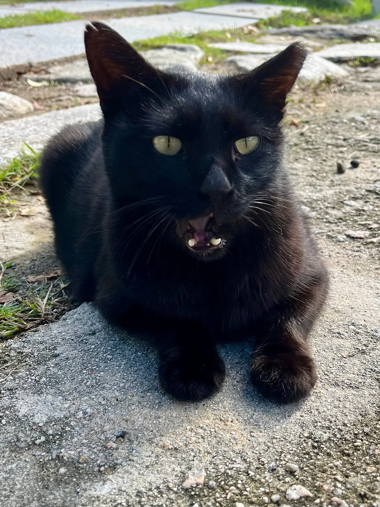 IMG%EF%BC%BF3216.jpg?type=w1600