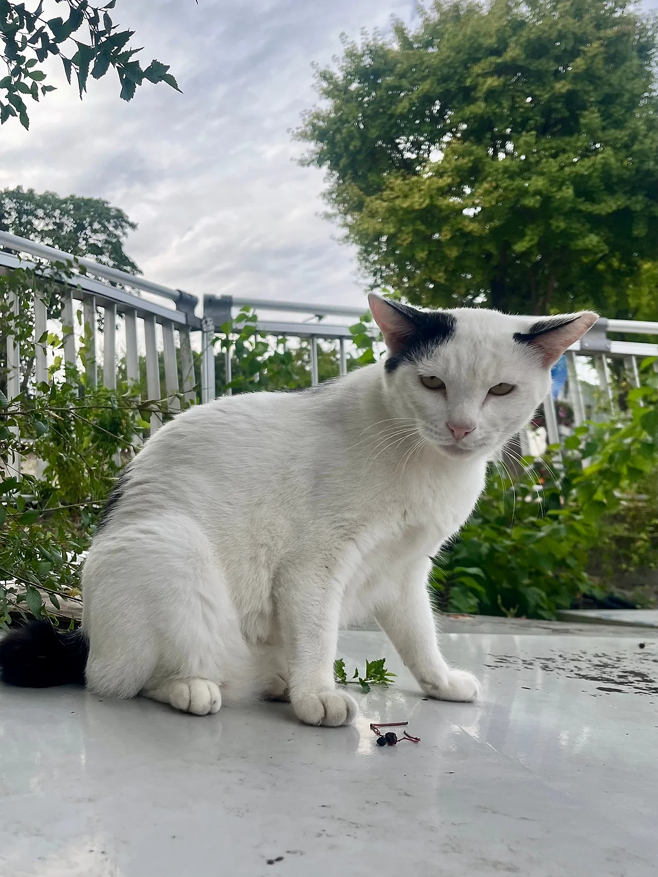 IMG%EF%BC%BF1988.jpg?type=w1600