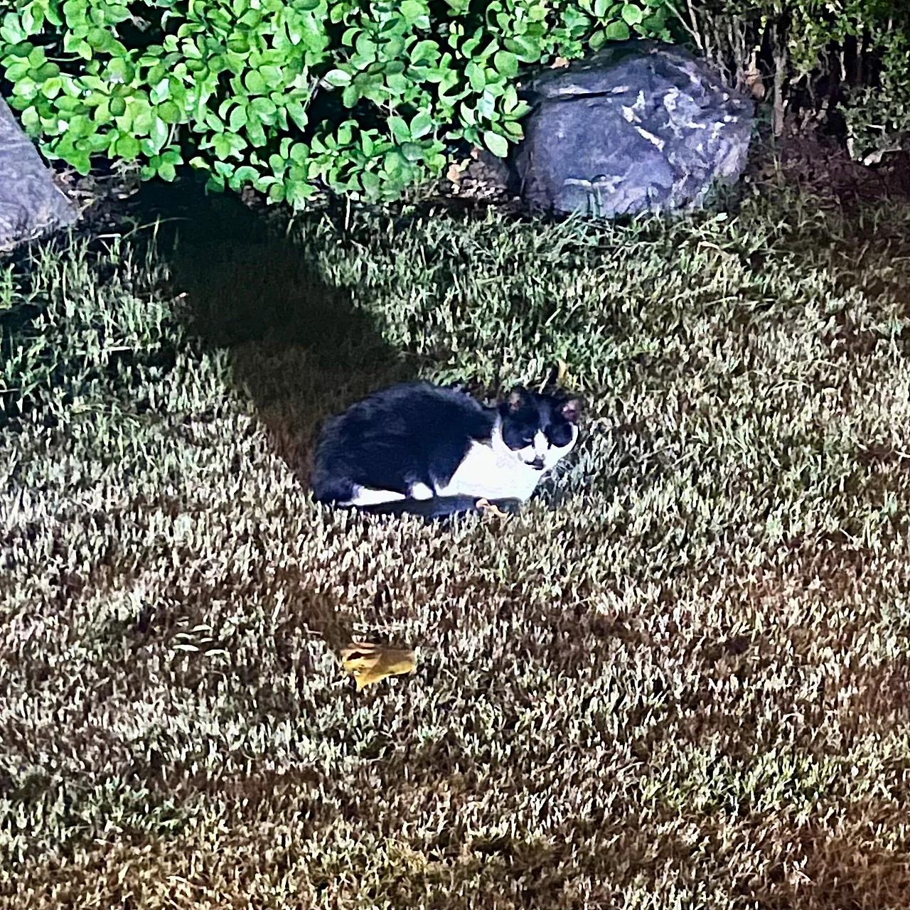 IMG%EF%BC%BF1739.jpg?type=w1600