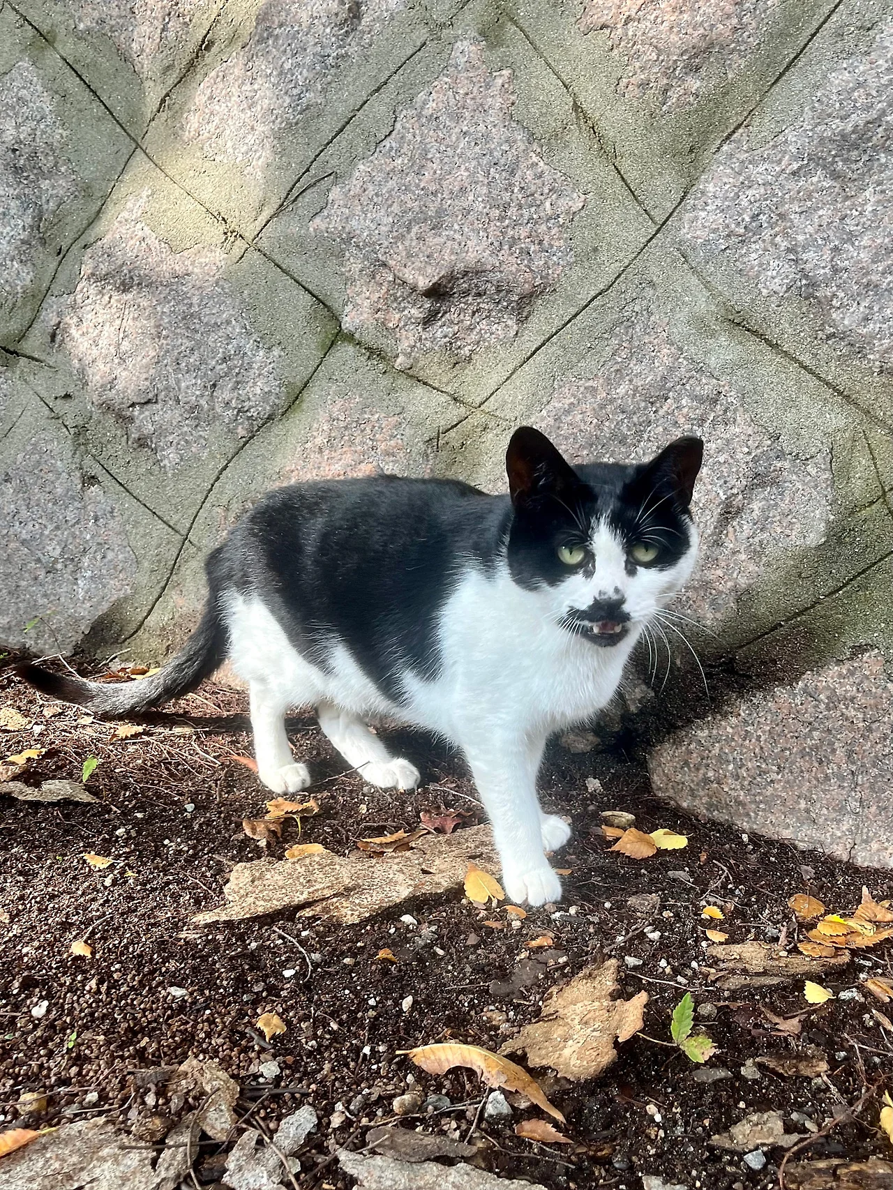 IMG%EF%BC%BF2242.jpg?type=w1600