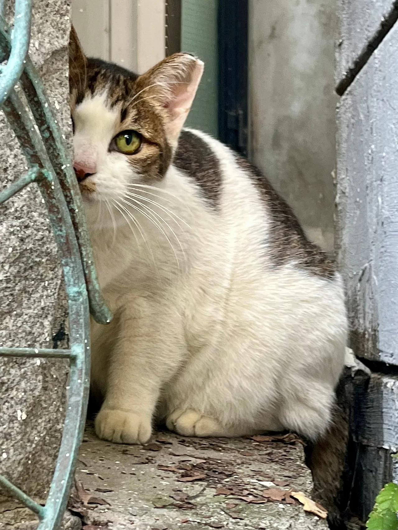 IMG%EF%BC%BF4226.jpg?type=w1600