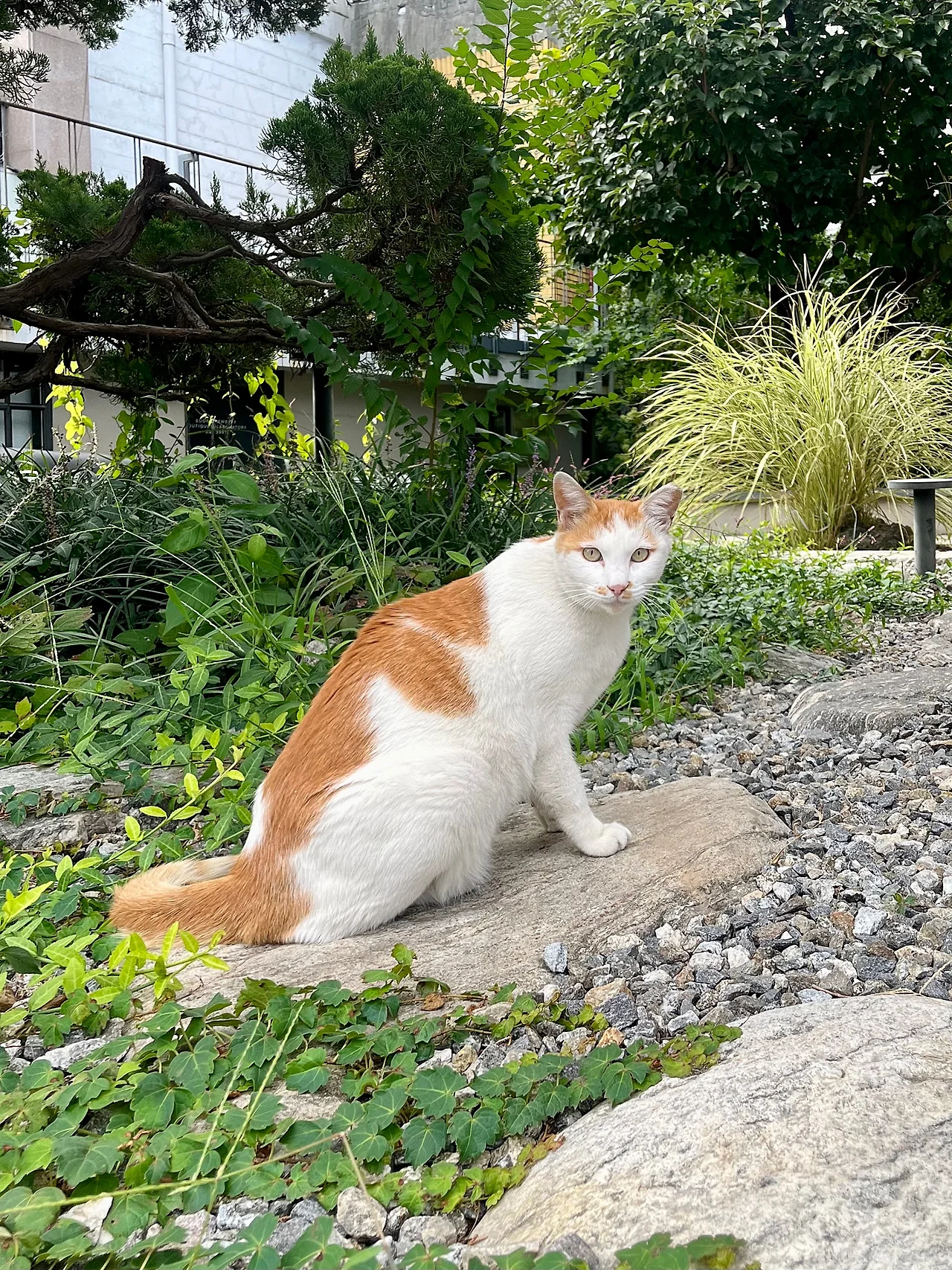 IMG%EF%BC%BF1934.jpg?type=w1600