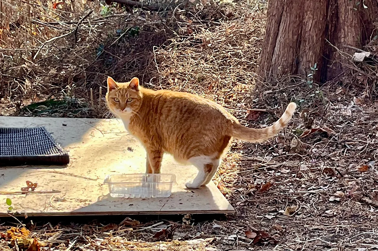 SE-0036A3A9-41CE-4617-875A-2009D59E0456.jpg?type=w1600