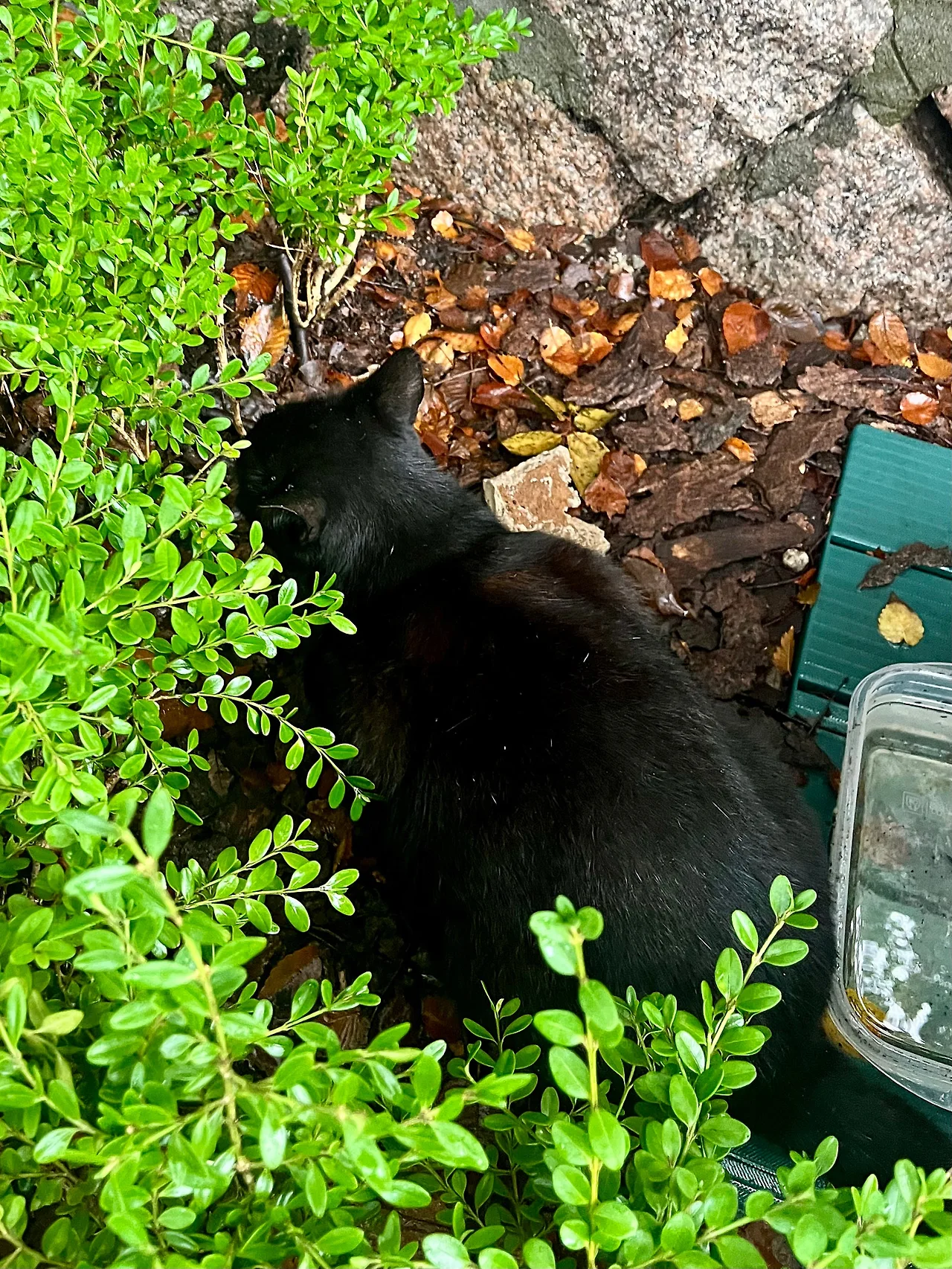 IMG%EF%BC%BF2047.jpg?type=w1600