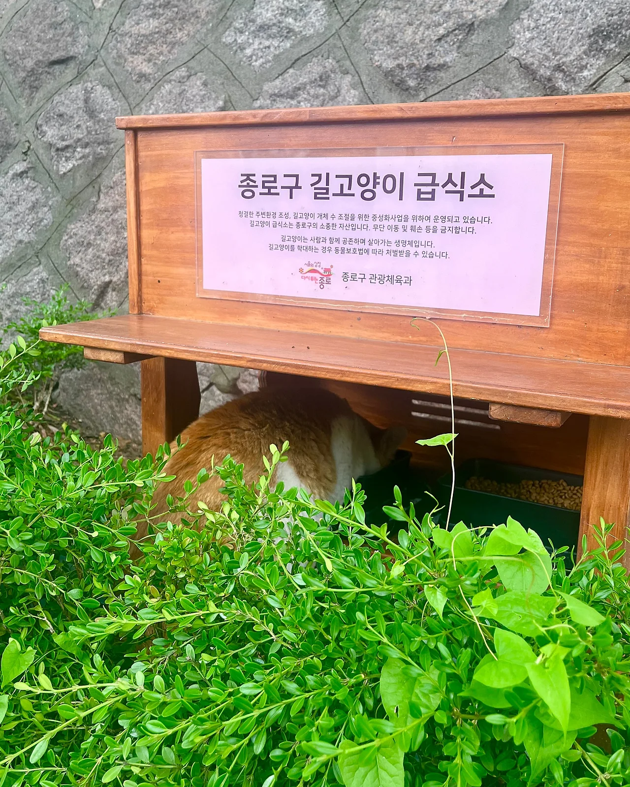 IMG_4717.jpg?type=w1600