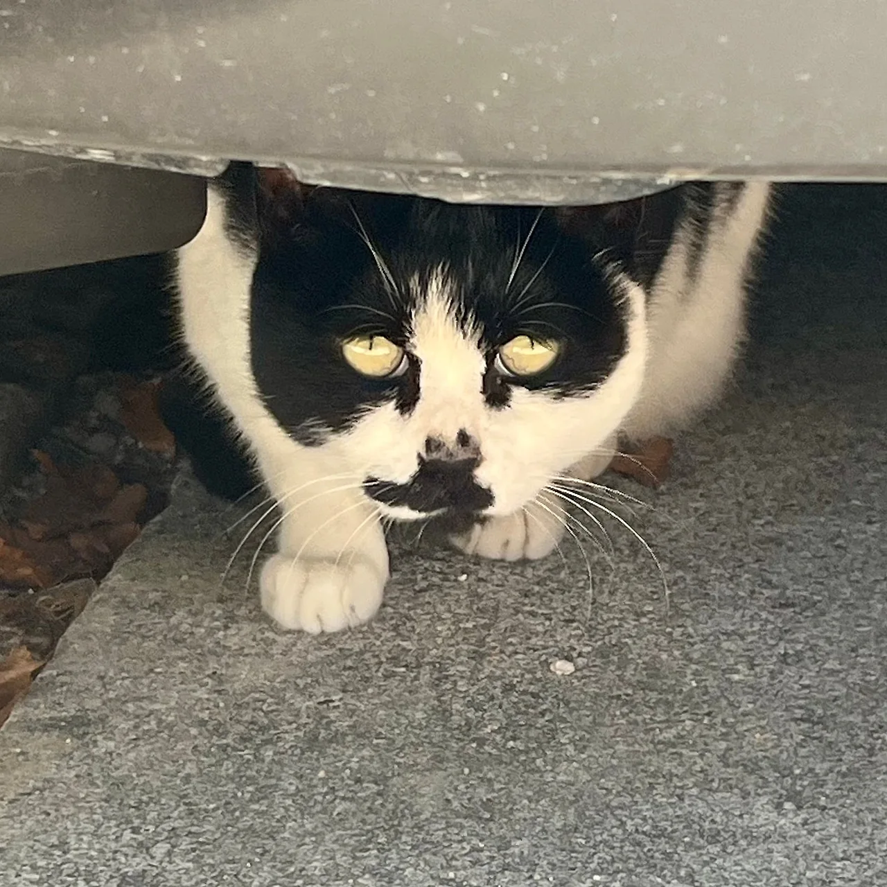 IMG%EF%BC%BF3262.jpg?type=w1600