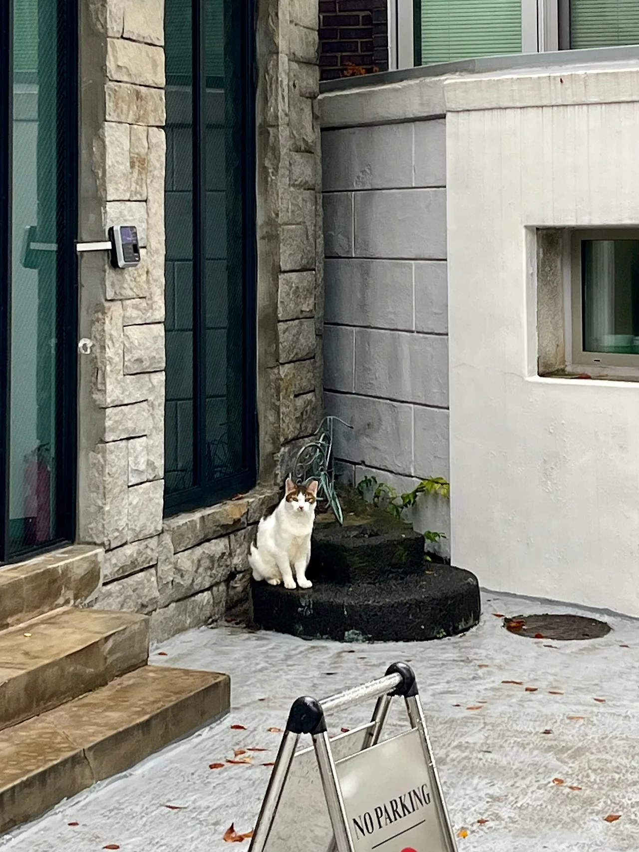 IMG%EF%BC%BF3104.jpg?type=w1600