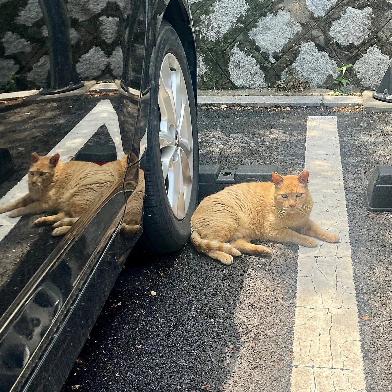 IMG%EF%BC%BF4395.jpg?type=w1600