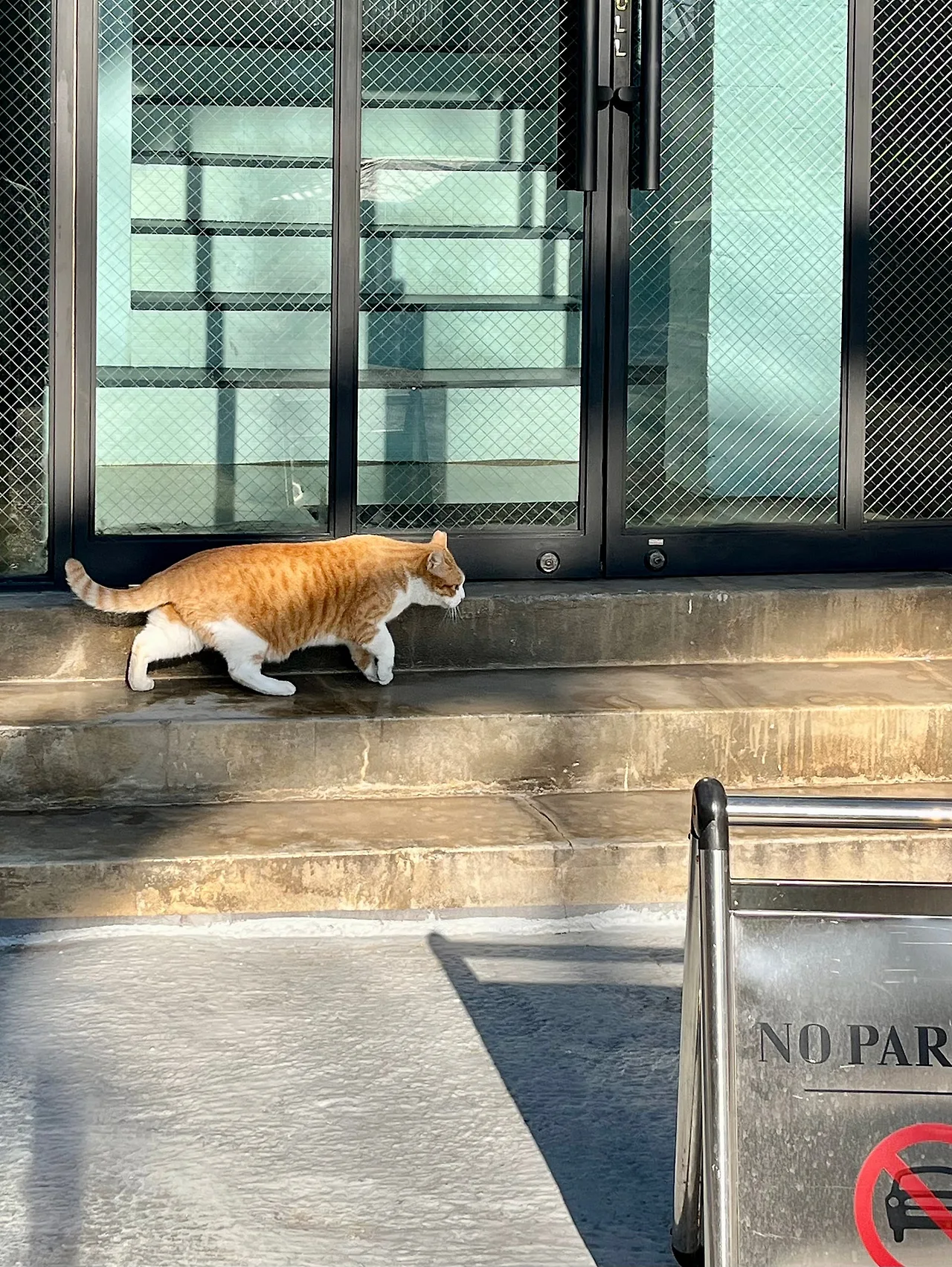 IMG%EF%BC%BF8583.jpg?type=w1600