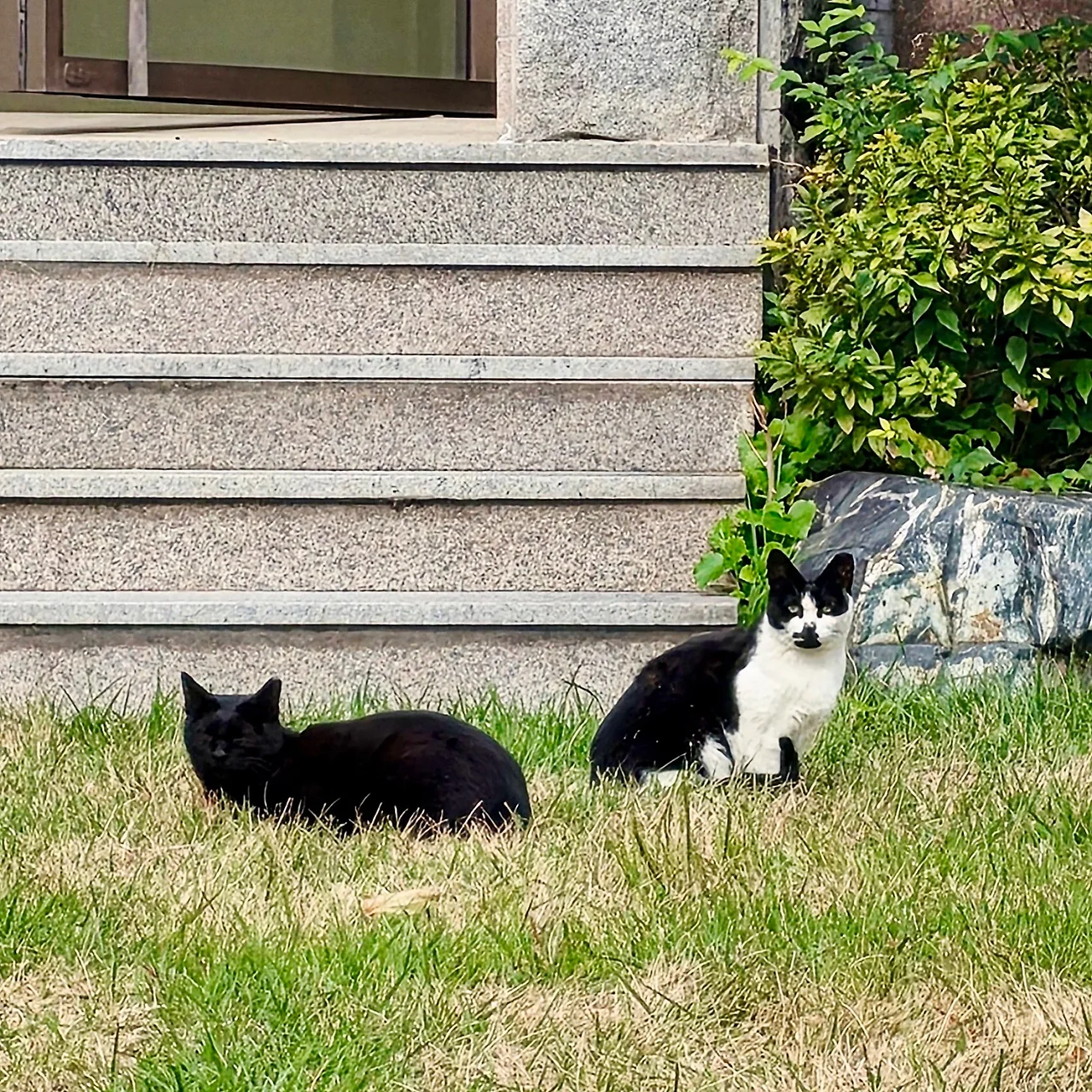 IMG%EF%BC%BF3640.JPG?type=w1600