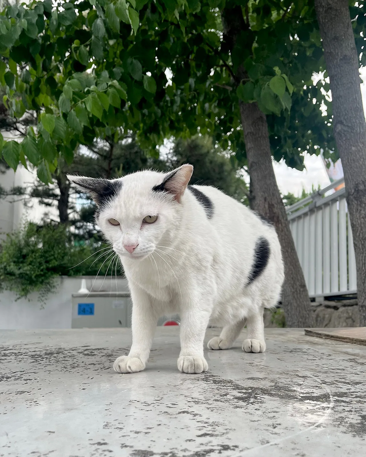 IMG_4754.jpg?type=w1600