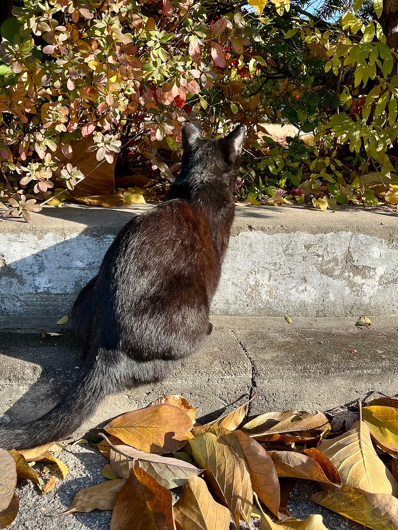 IMG%EF%BC%BF8641.jpg?type=w1600