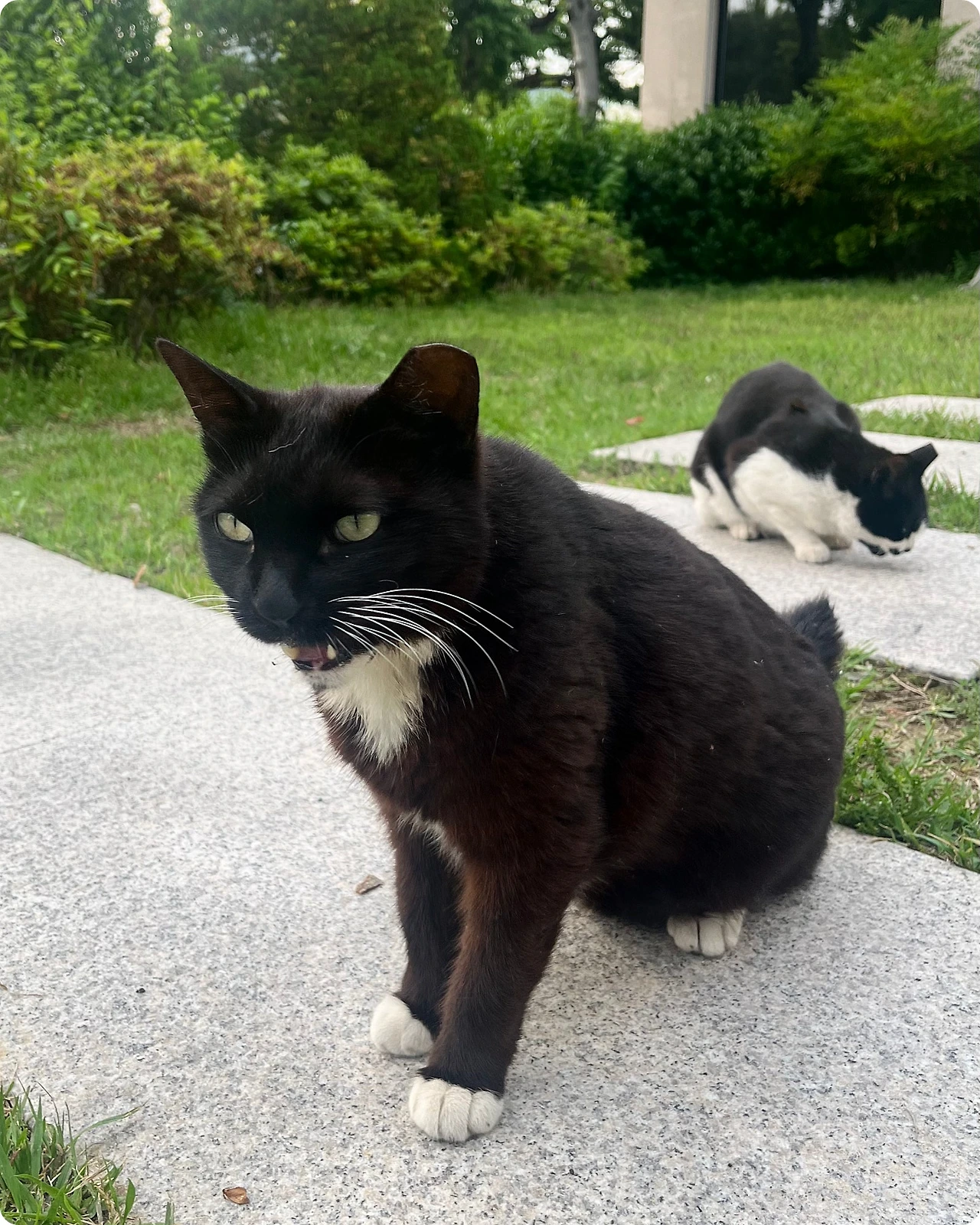 IMG_4554.jpg?type=w1600