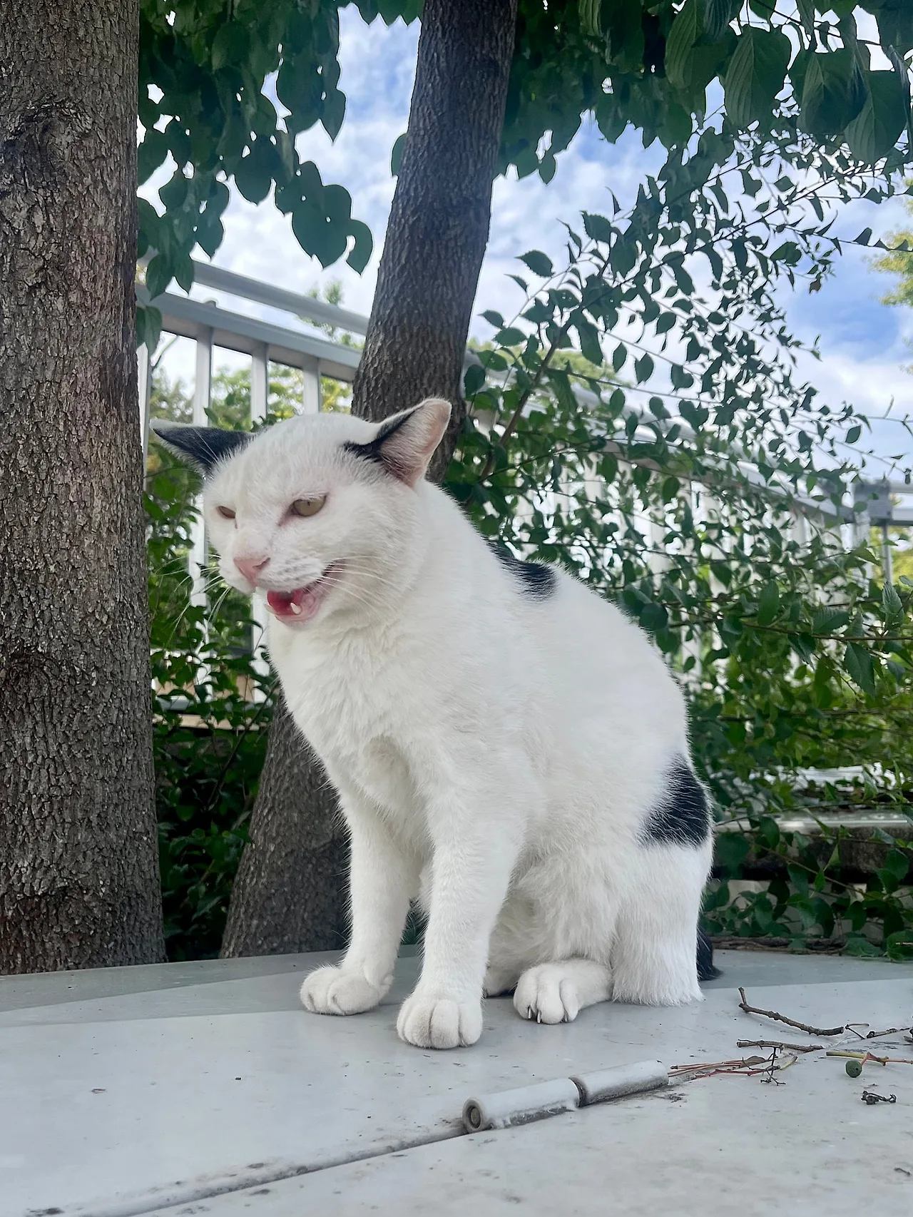 IMG%EF%BC%BF1056.jpg?type=w1600