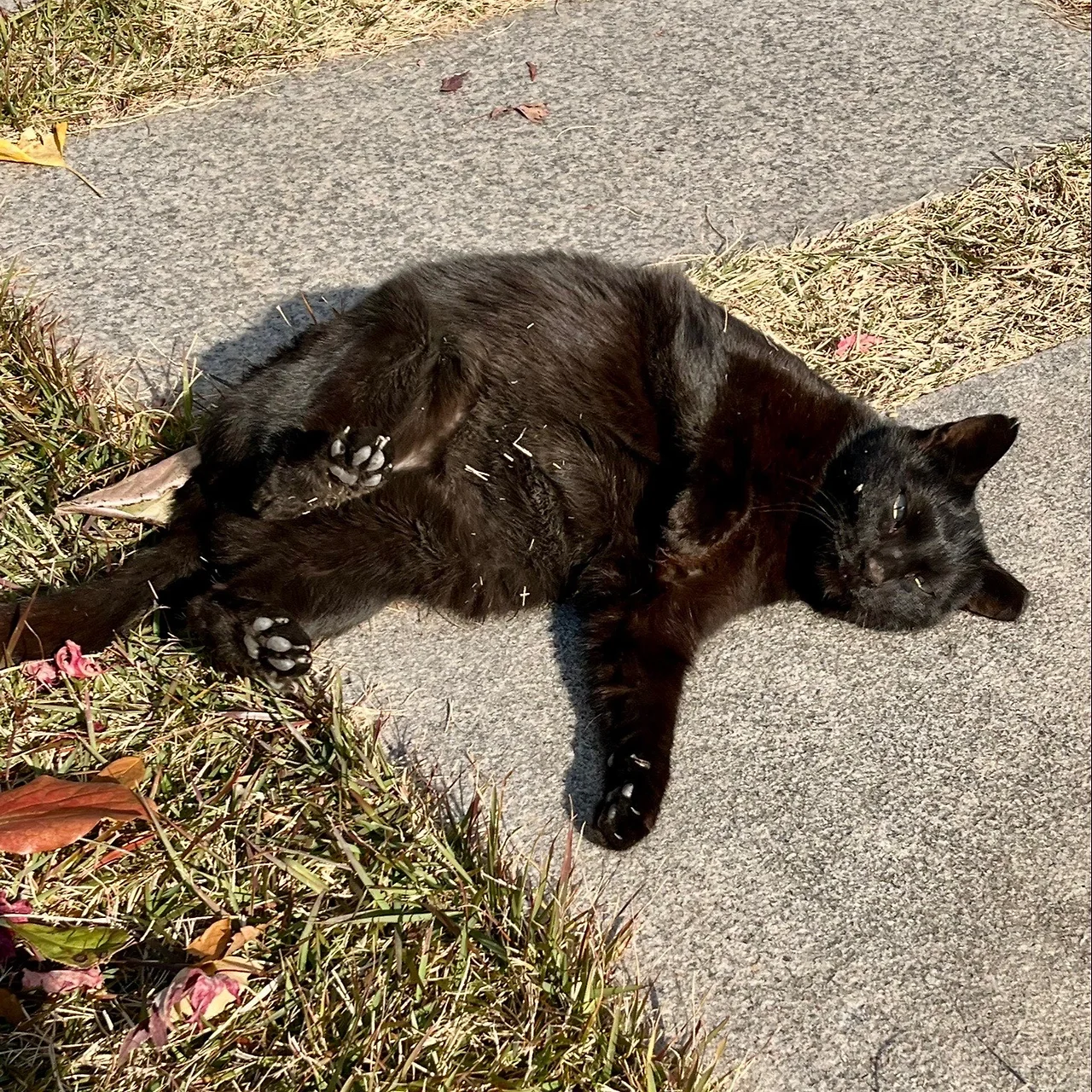 output%EF%BC%BF2819655979.jpg?type=w1600