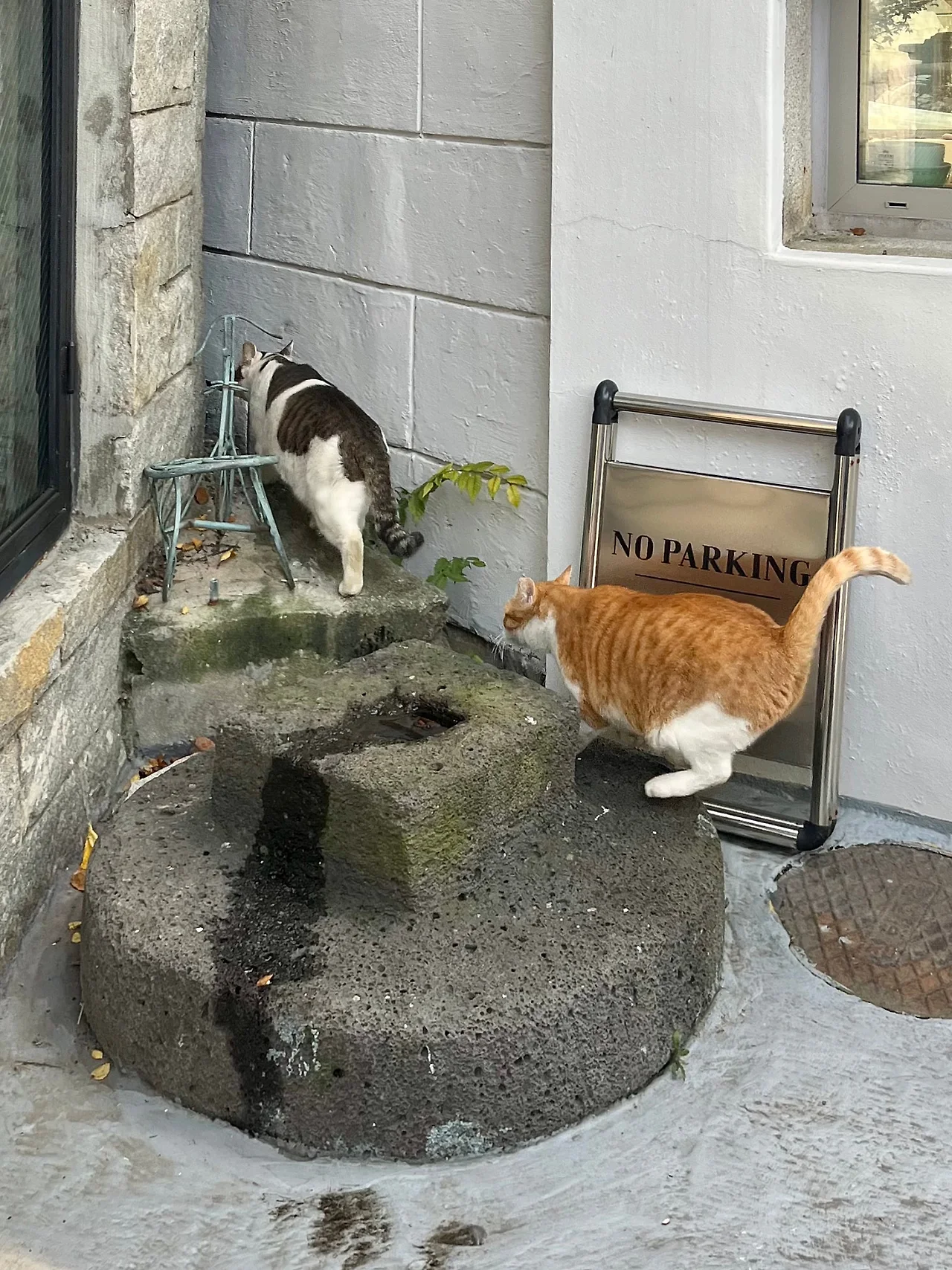 IMG%EF%BC%BF4161.jpg?type=w1600